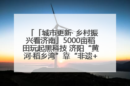 「城市更新· 乡村振兴看济南」5000亩稻田玩起黑科技 济阳“黄河·稻乡湾”靠“非遗+露营”火出圈